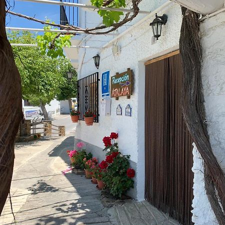 Hostal Atalaya En Capileira Cb エクステリア 写真